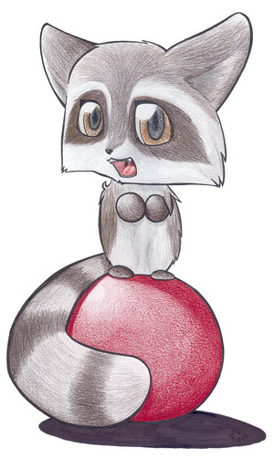 Racoon On A Ball