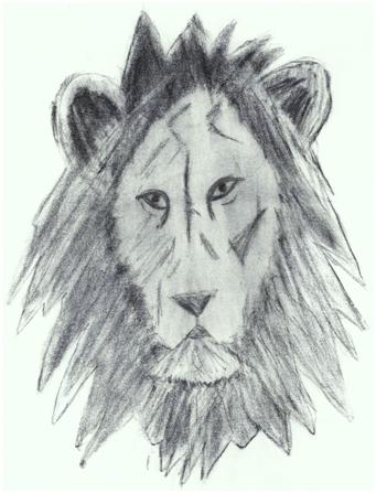 Charcoal Drawing Of A Lion