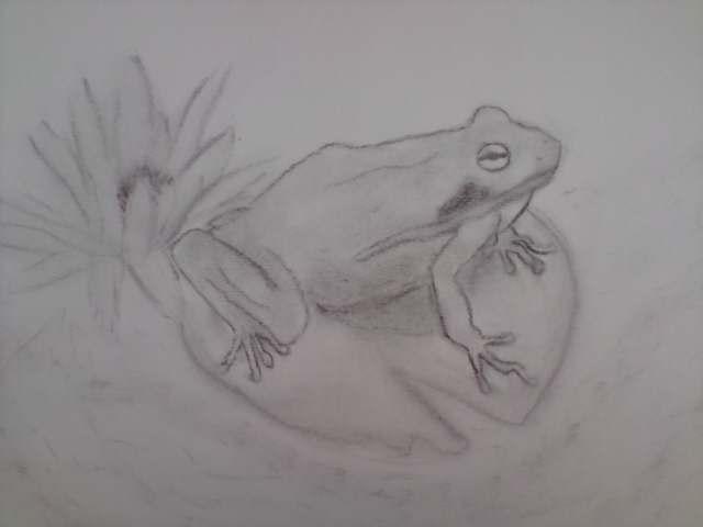 Frog On Lily Pad- By Annie