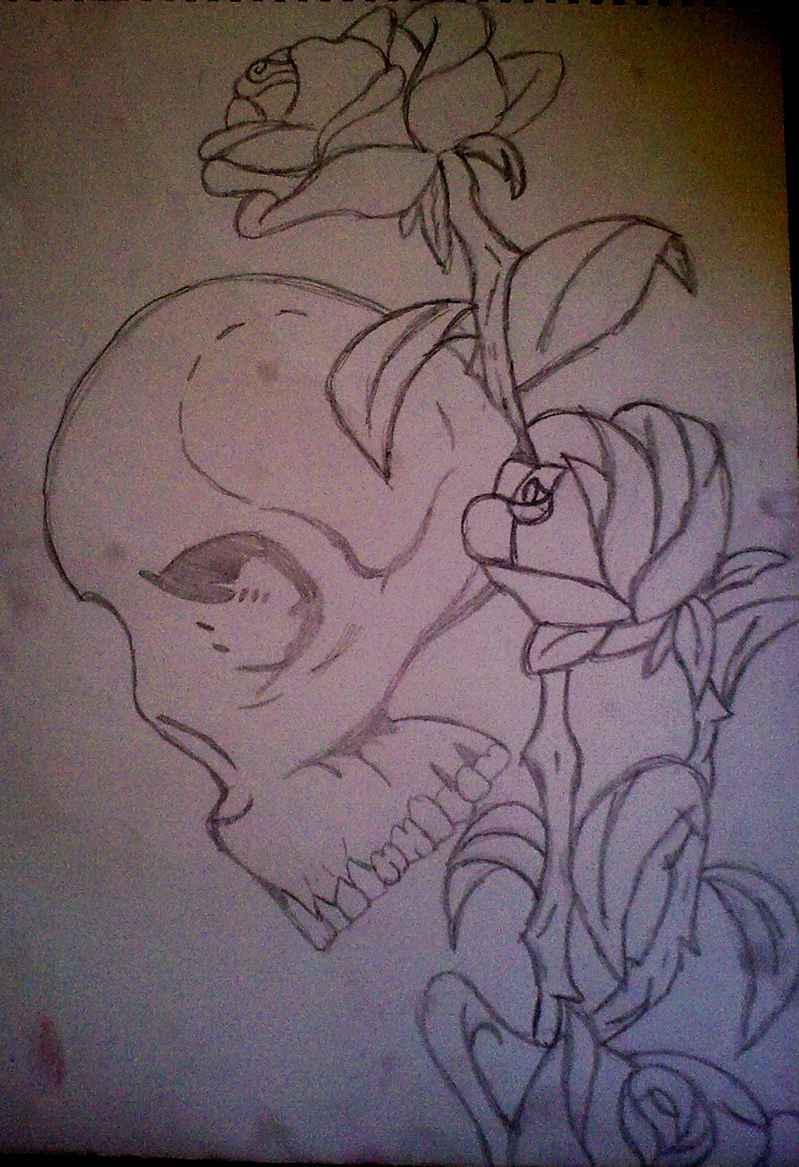 Skull In The Roses
