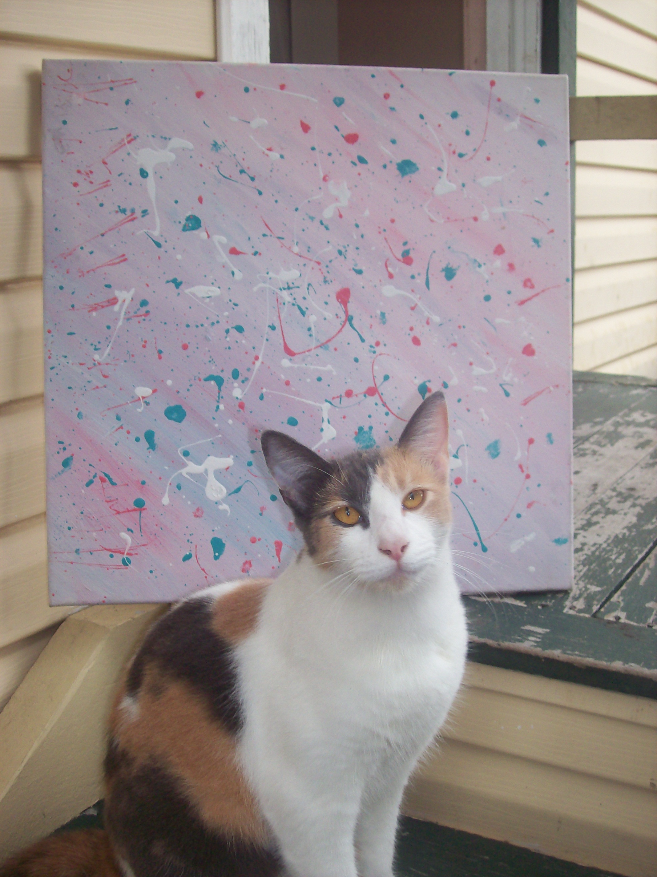 My Painting Is Behind The Cat, Or It Can Be A Photogaph Called  The Arty Cat