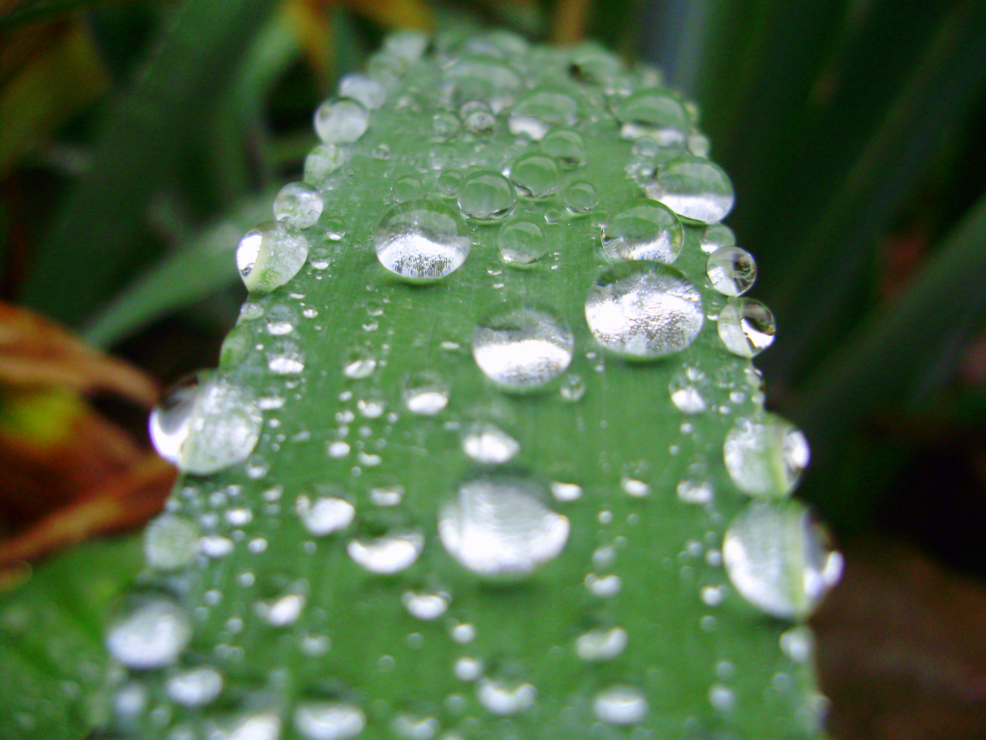Delicate Droplets
