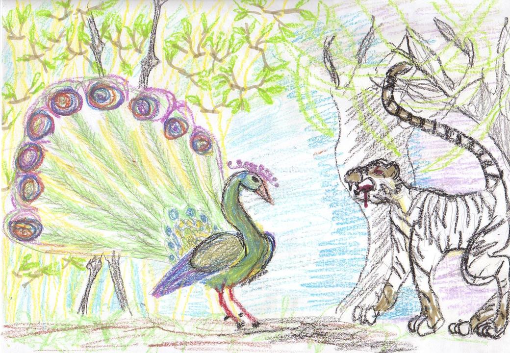 Peacock And Tiger