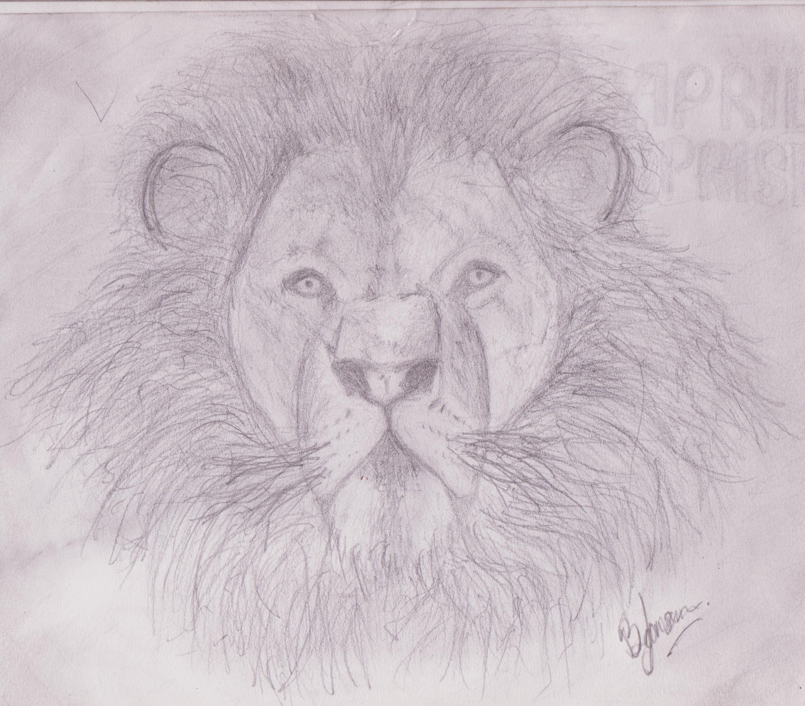 Pride Of The Lion