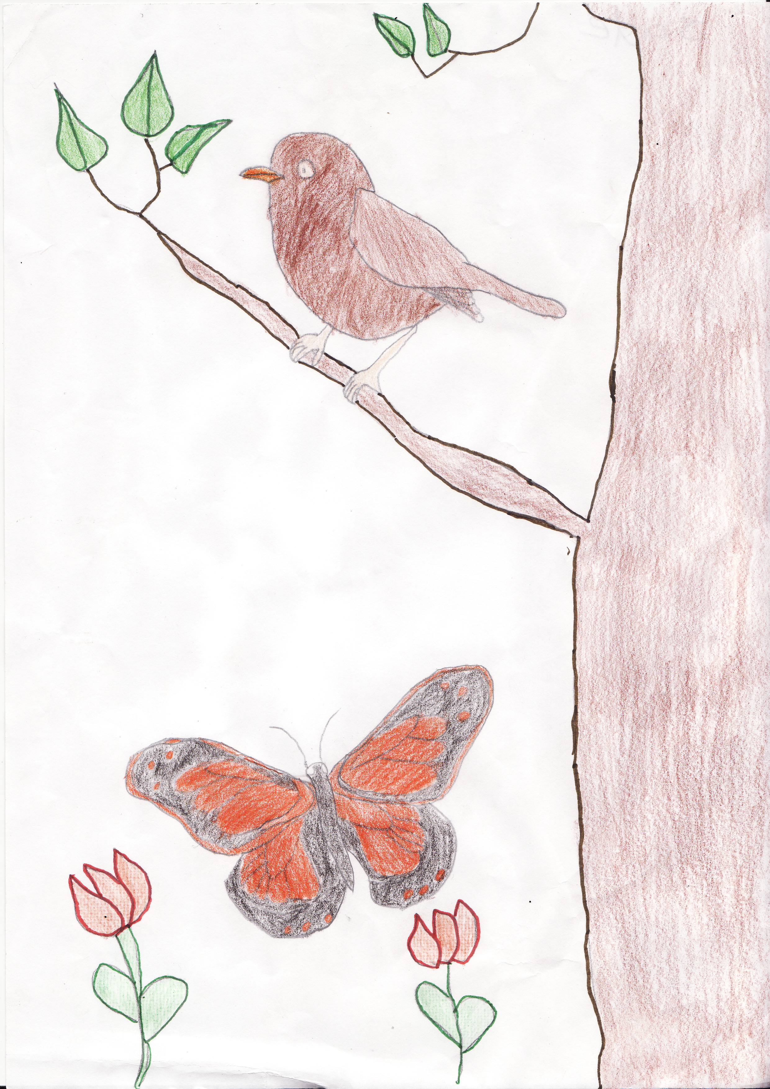 Bird And Butterfly