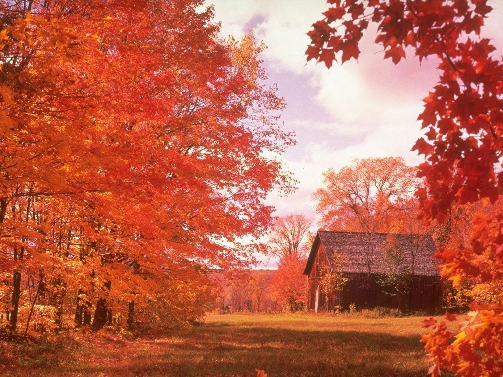 Autumn Serenity