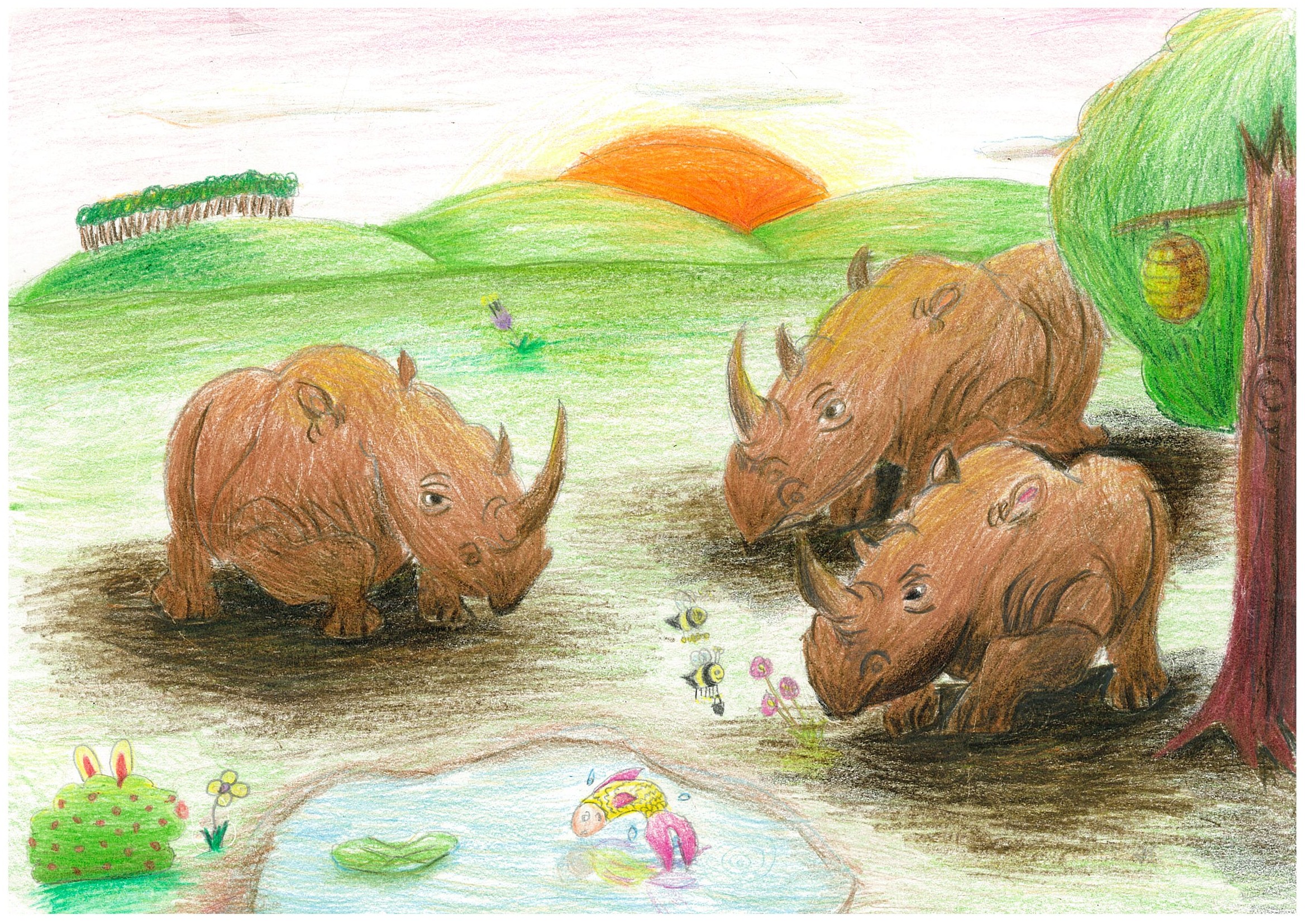 A Family Of Rhino