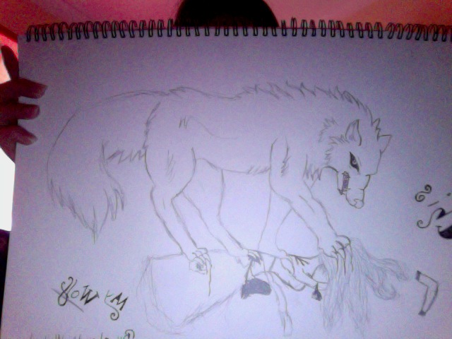 Wolves <3