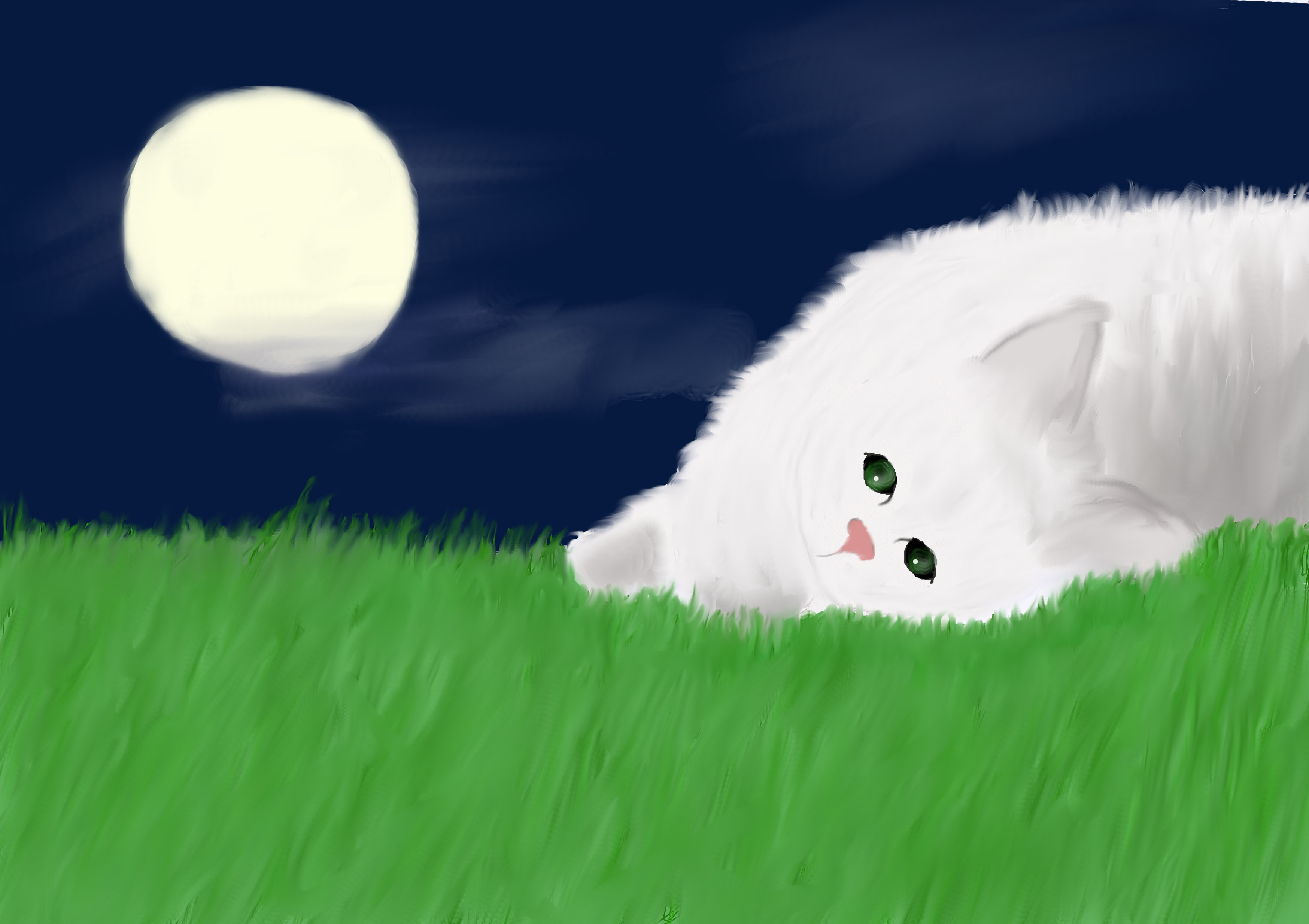 Moonlit Kitten