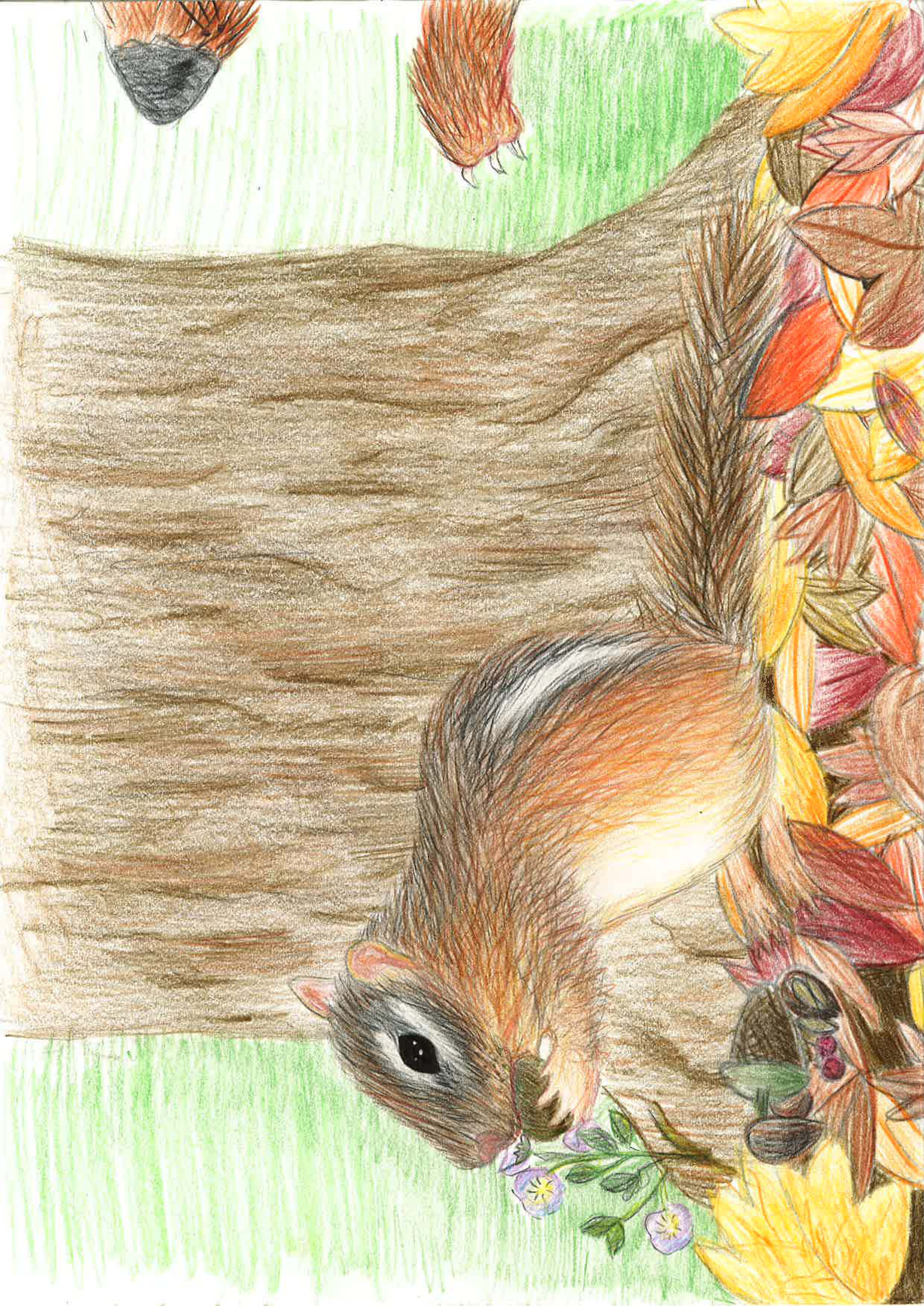 Squirrel In The Fall