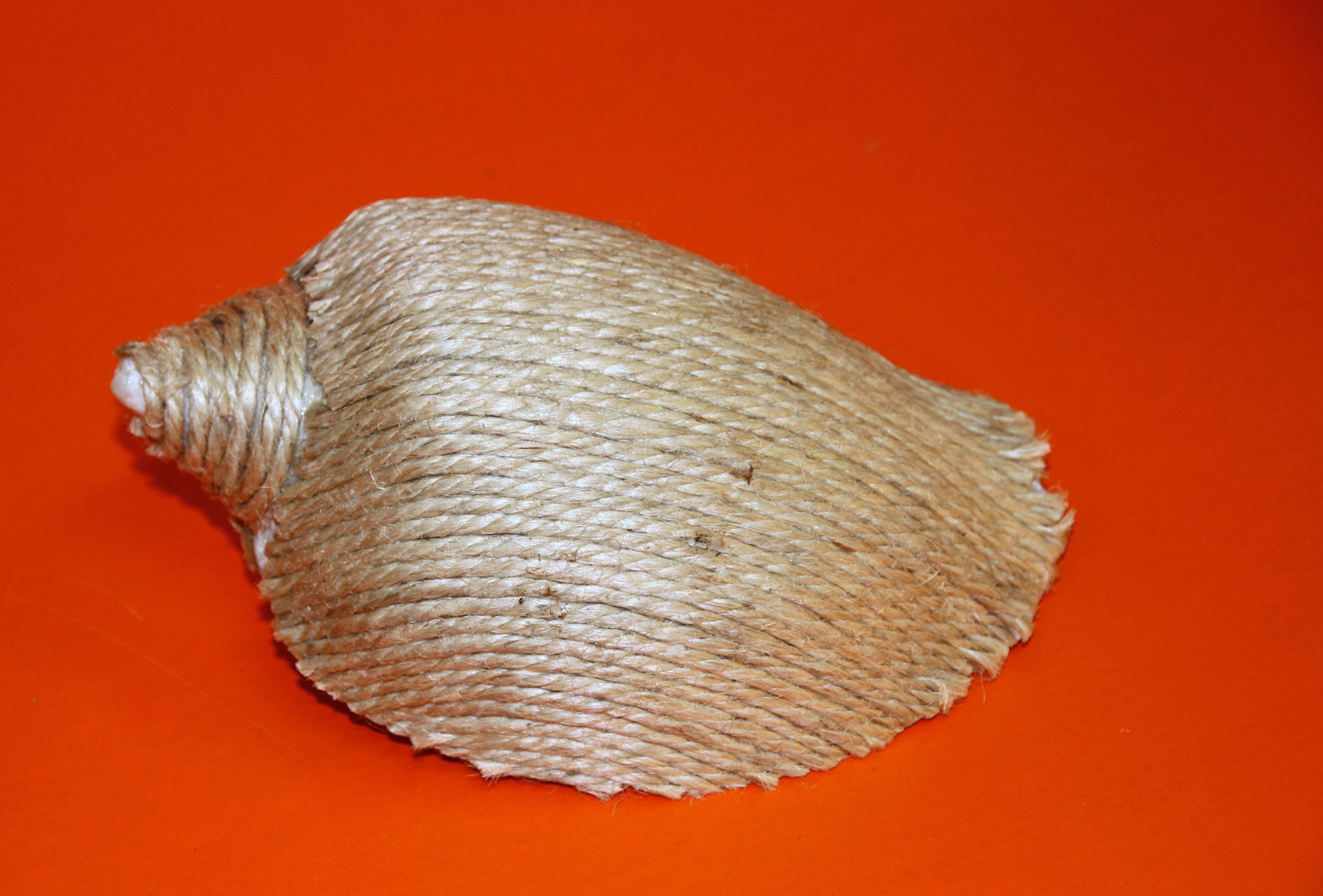 Wrapped Shell