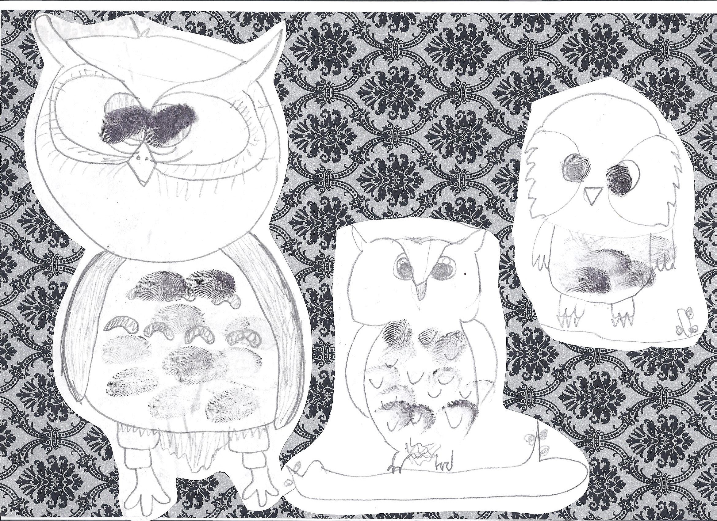 Owls