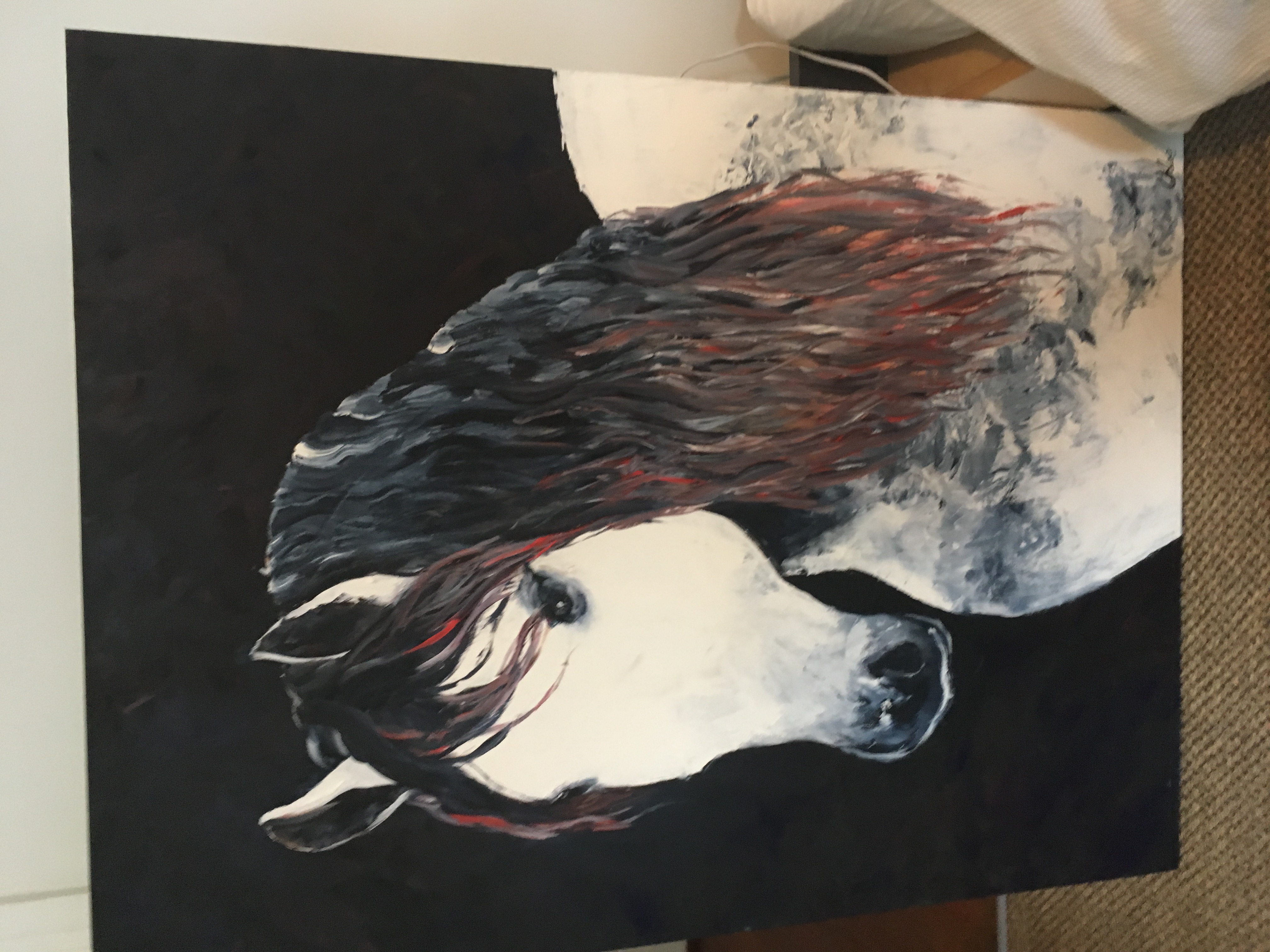 Horse On Canvas 