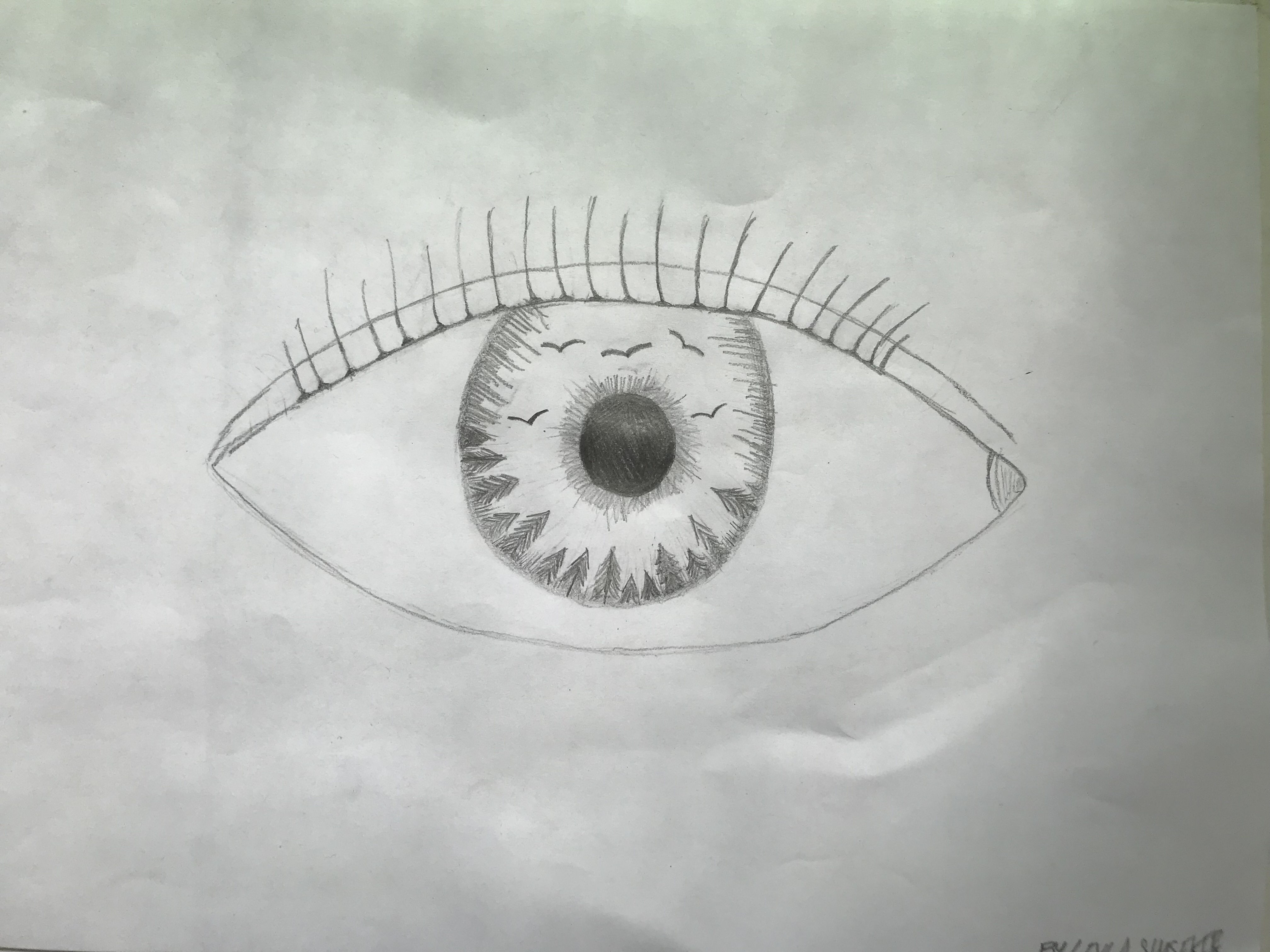 Eye Drawing, By Leyla