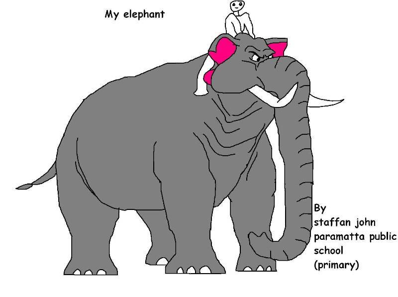 My Elephant